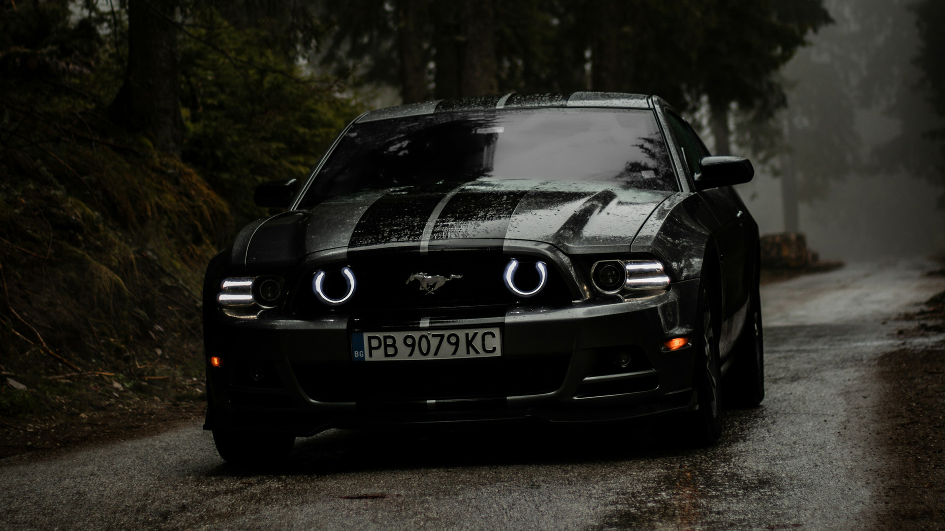 project